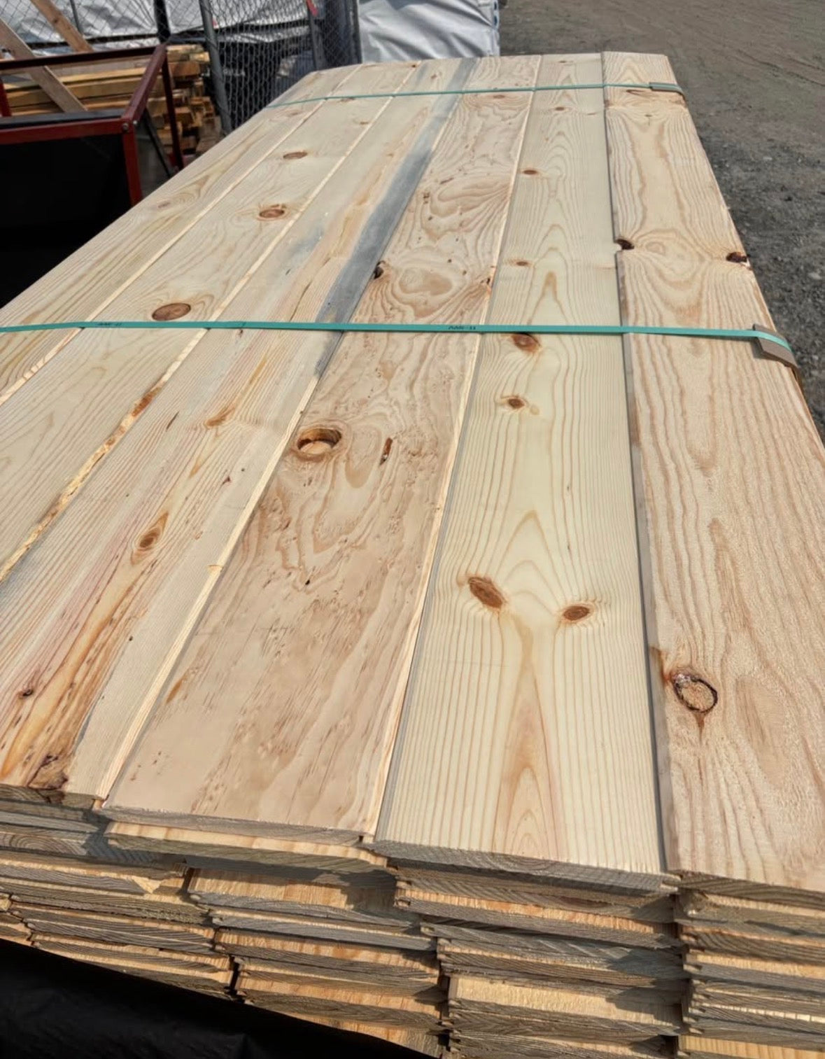 1x8 WP4 Pond Pine REV