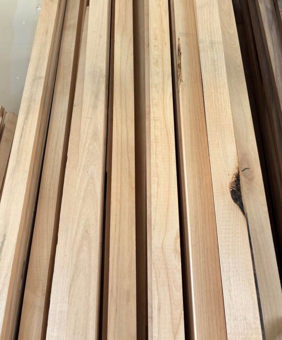 Red Alder